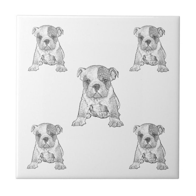  Bulldog Chequerboard Pencil  Tile (Front)