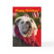 Bulldog Christmas cards