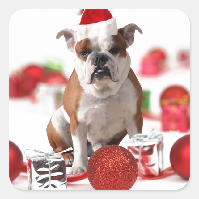 Bulldog Christmas Gift Box Ornaments Red Santa Hat Square Sticker (Front)