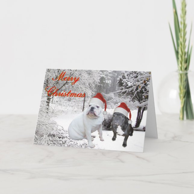 Bulldog Christmas Holiday Card (Front)
