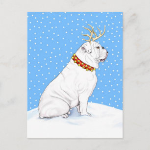 Bulldog Christmas Reindeer White Holiday Postcard