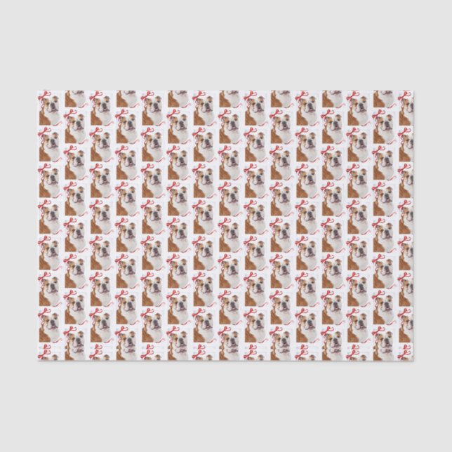 Bulldog Christmas Tissue Paper (Front)