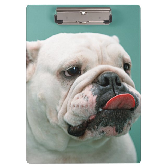 Bulldog Clipboard (Front)