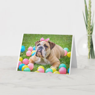 Bulldog Cute Easter Animal Dog Hundeportrait Pet Holiday Card