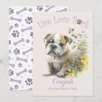 Bulldog Dog Adoption, Gotcha Day