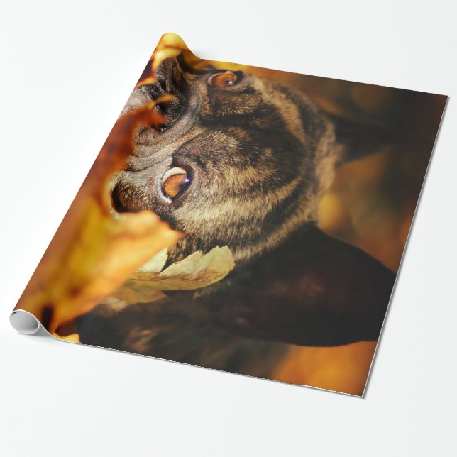 Bulldog Dog Cute English Bulldog Lover Gift Wrapping Paper (Unrolled)