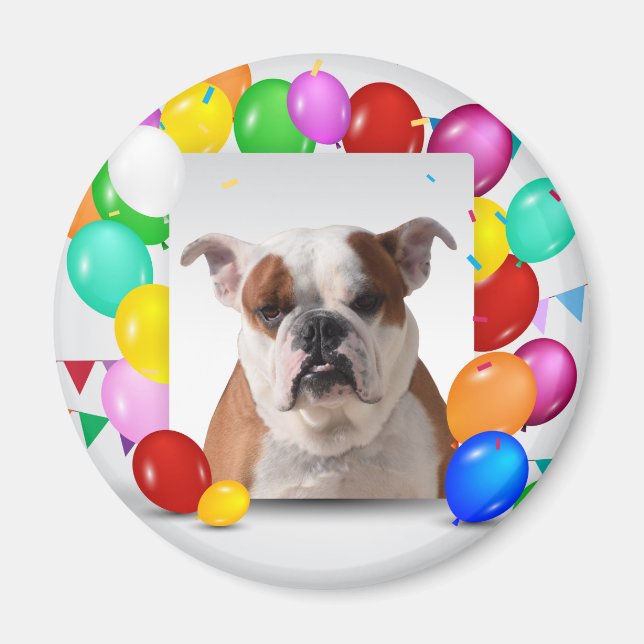 Bulldog Dog with colourful Balloons Birthday Theme Magnet (Front)