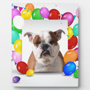 Bulldog Dog with colourful Balloons Birthday Theme Plaque