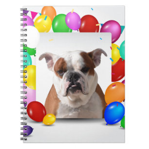 Bulldog Dog with colourful Balloons Birthday Theme Spiral Notebook