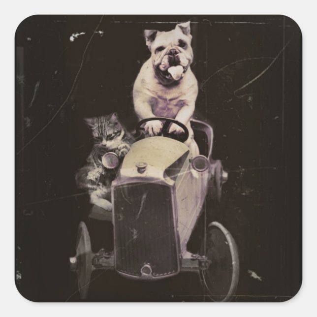 Bulldog Drives a Car 1933 Square Sticker (Front)