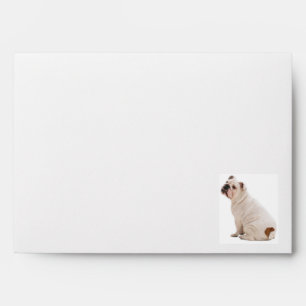 Bulldog Envelope