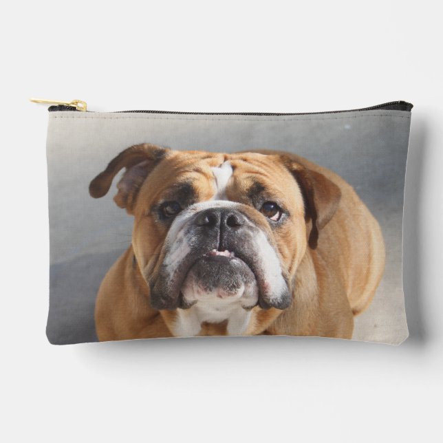 Bulldog Face - English Bulldog, Brown Accessory Pouch (Front)