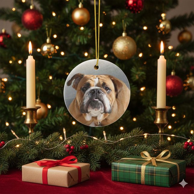 Bulldog Face - English Bulldog, Brown Ceramic Tree Decoration (Creator Uploaded)