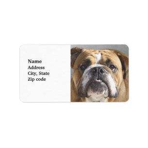 Bulldog Face - English Bulldog, Brown Label