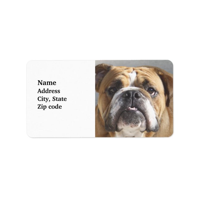 Bulldog Face - English Bulldog, Brown Label (Front)