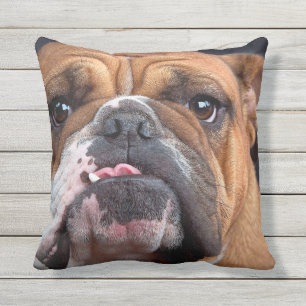 BULLDOG FACE FOCUS OUTDOOR CUSHION