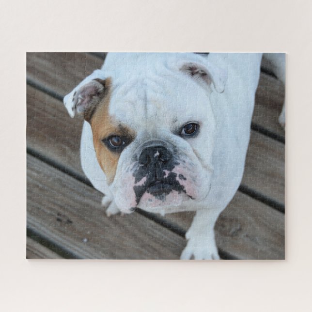 Bulldog face  jigsaw puzzle (Horizontal)