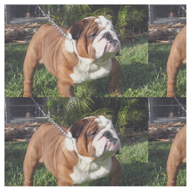 bulldog full.png fabric (Close Up)