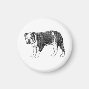 Bulldog Gaze, Manga Dot Magnet