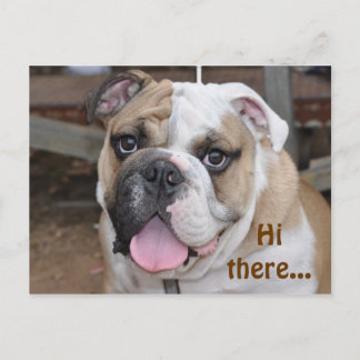 Bulldog "Hi there" Postcard