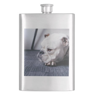 bulldog hip flask