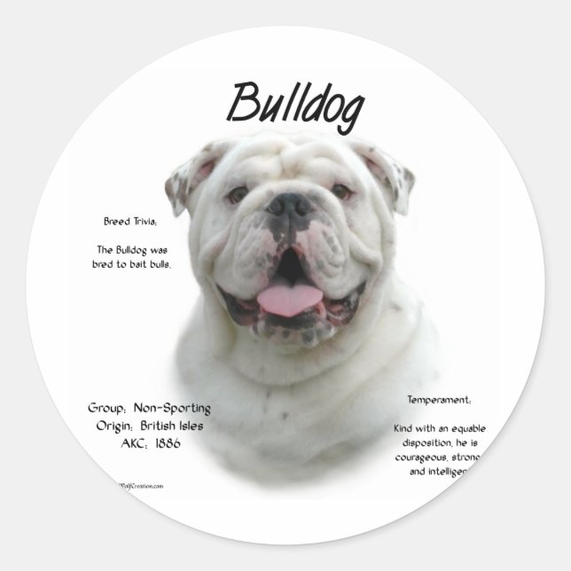 Bulldog History Design Classic Round Sticker (Front)
