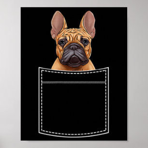 Bulldog In Breast Pocket Frenchie Pocket Poster