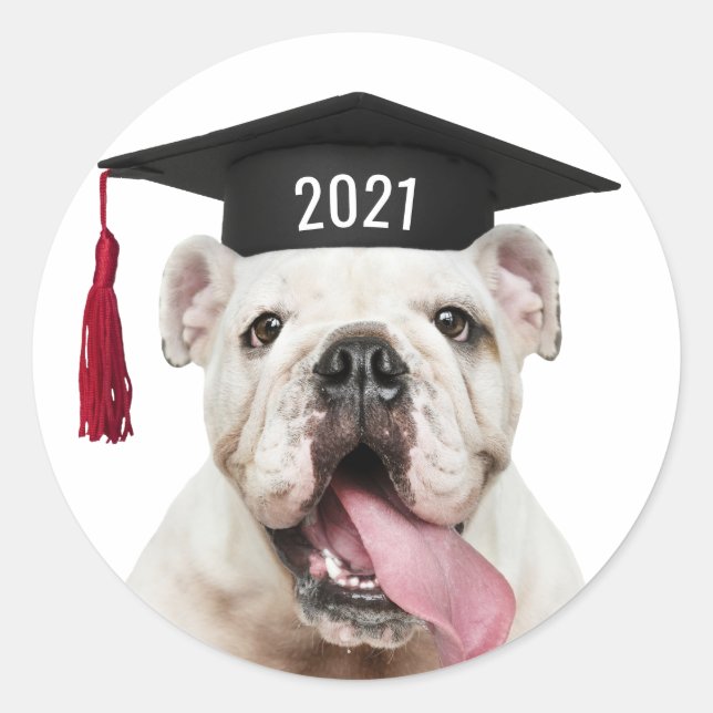Bulldog in Graduation Cap with Class Year Classic Round Sticker (Front)