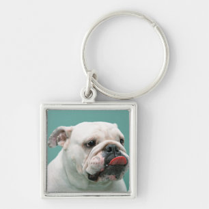 Bulldog Key Ring