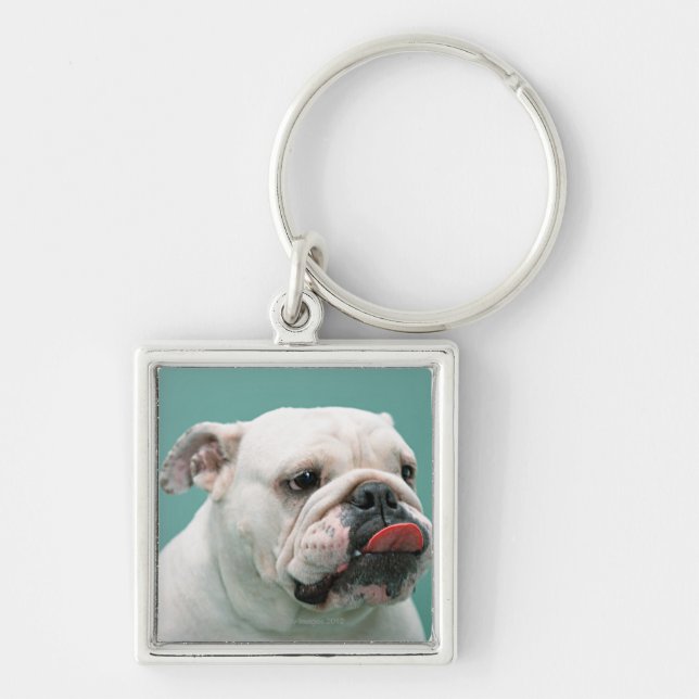 Bulldog Key Ring (Front)