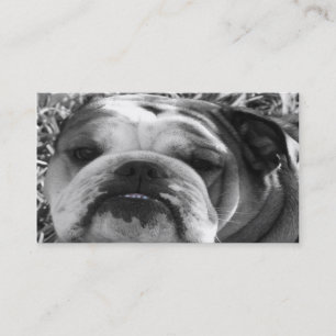 bulldog love business card