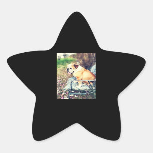 Bulldog Lovers Gifts   Sadly Dog Design Star Sticker