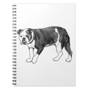 Bulldog Muse, Manga Dot Journal