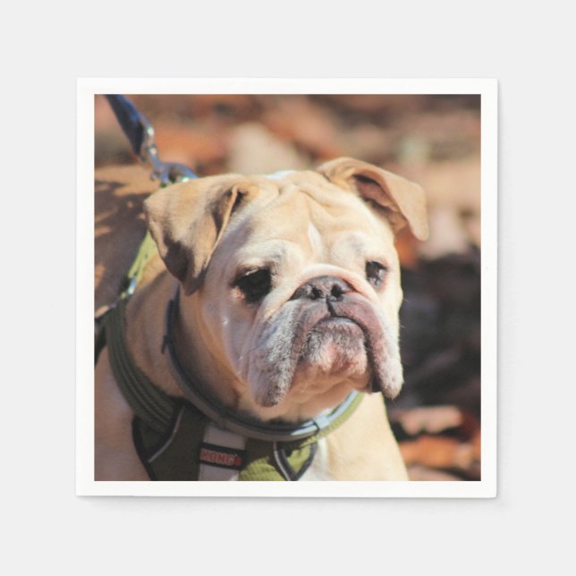 Bulldog Napkin (Front)