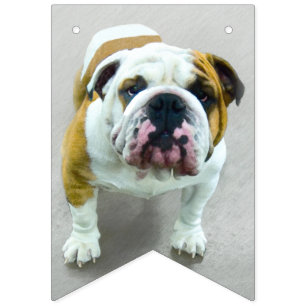 Bulldog Painting - Cute Original Dog Art Bunting