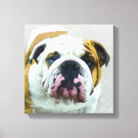 Bulldog Painting - Cute Original Dog Art