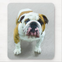 Bulldog Painting - Cute Original Dog Art