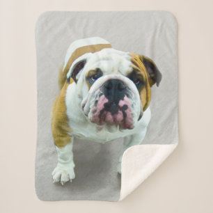 Bulldog Painting - Cute Original Dog Art Sherpa Blanket