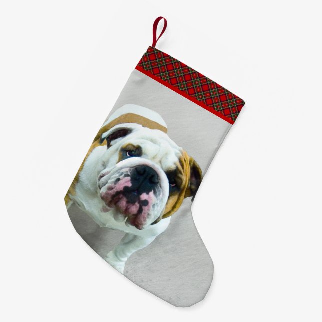Bulldog Painting - Cute Original Dog Art Small Christmas Stocking (Front (Hanging))