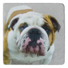 Bulldog Painting - Cute Original Dog Art
