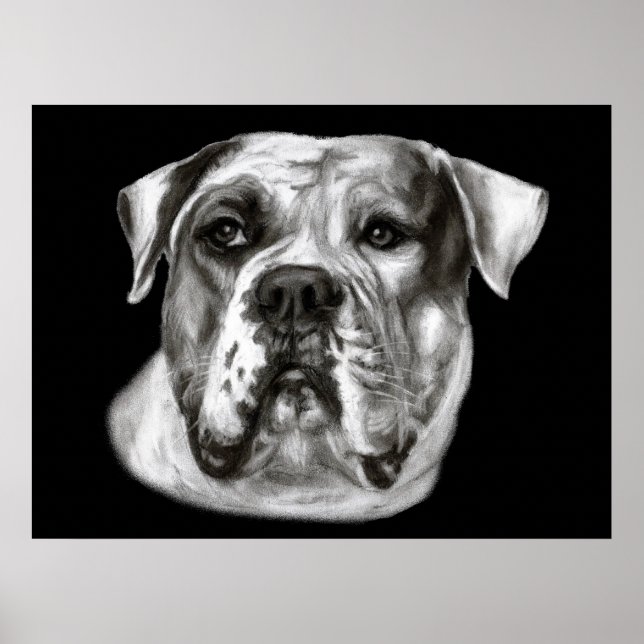 Bulldog Painting Poster (Front)