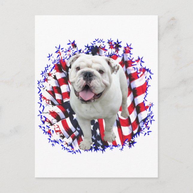 Bulldog Patriot Postcard (Front)