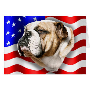 Bulldog Patriot US Flag