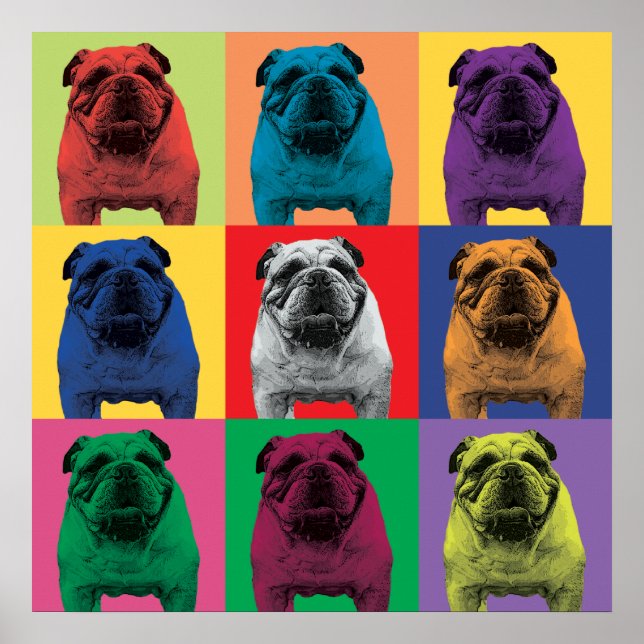 Bulldog Pop Art Poster (Front)