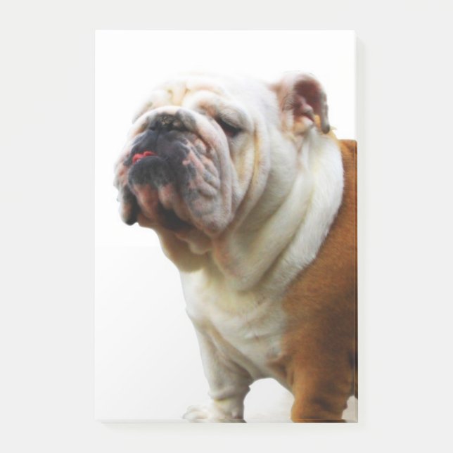 Bulldog Post-it Notes (Front)