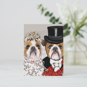 Bulldog           postcard