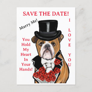 Bulldog   postcard