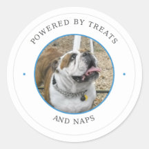 Bulldog Powered by Treats and Naps