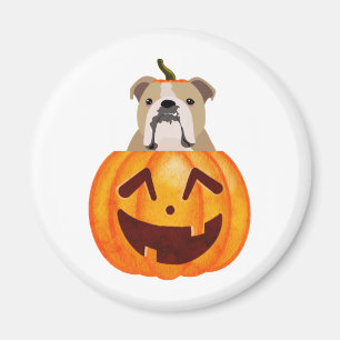 Bulldog Pumpkin    Magnet
