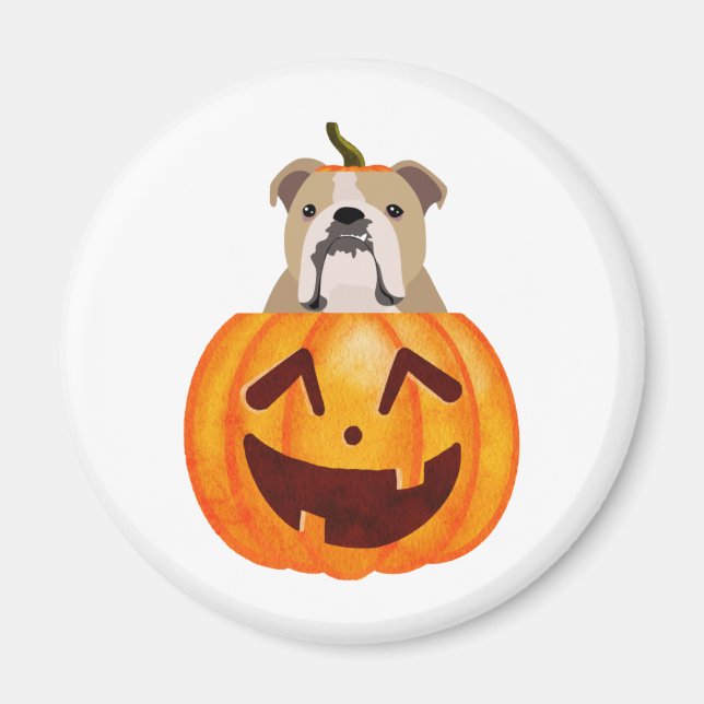 Bulldog Pumpkin    Magnet (Front)